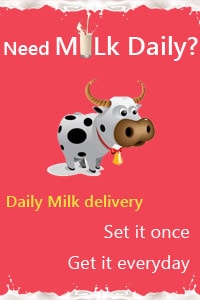 daily milk delivery